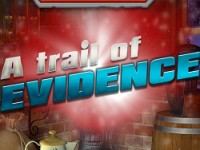 Trail of Evidence