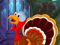 Turkey Escape 2