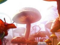 Mushroom Forest Butterfly Girl Escape