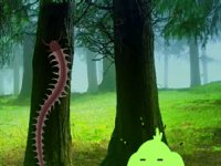 Giant Centipedes Forest Escape