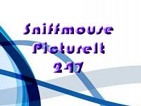 Sniffmouse PictureIt 247