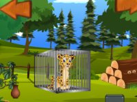 Rescue the Cheetah