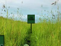 Family Escape From Tall Grass