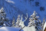 Snow Deer Escape