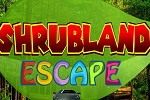 Shrubland Escape