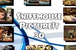 Sniffmouse PictureIt 30