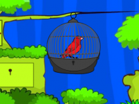 Tiny Red Bird Escape