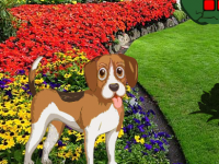 Flower Garden Dog Escape