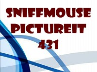 Sniffmouse PictureIt 431