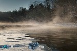 Frozen Snow Forest Escape